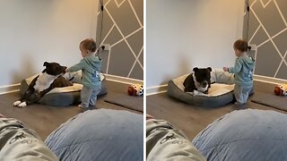 Sweet baby gives her treat to the dog