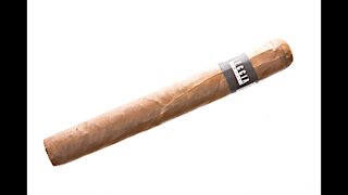 Sam Leccia Black Toro Cigar Review