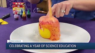Science Sundays: Celebrating a Year of Science Education