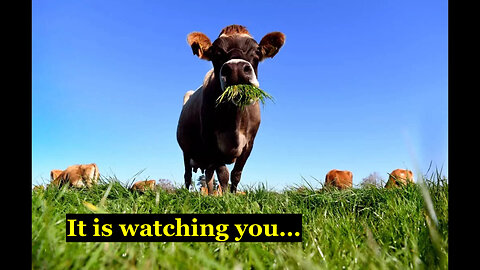 The CG Prophecy Report (15 January 2023) - The Rise of Spying Cows