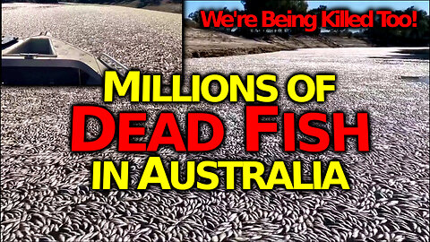 STARVATION CATALYST: MILLIONS of Dead Fish Killed In Latest Fish Genocide (Darling River Australia)