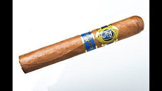 Falto Vejigante Cigar Review