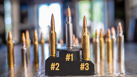 The Hottest Rifle Cartridges of 2022