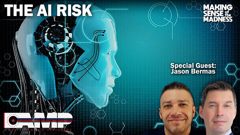 The AI Risk with Jason Bermas