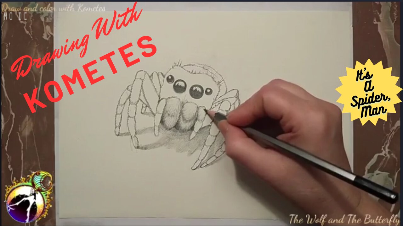 Simple 3D Spider Drawing | realistic illusion! |Mclamor| #drawing #cha... |  TikTok