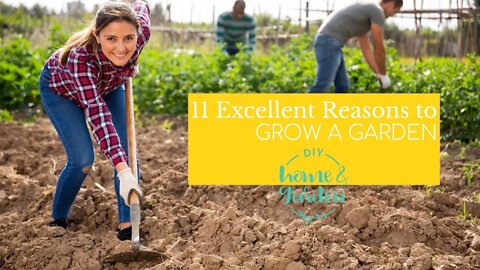 11 Excellent Reasons to Grow a Garden