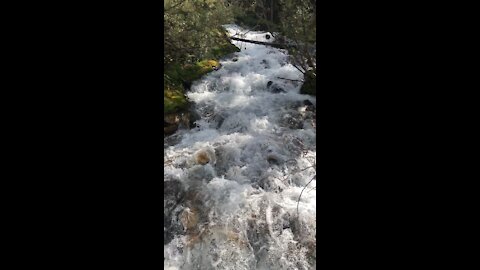 Intense Bubbling Rapids/Brook!