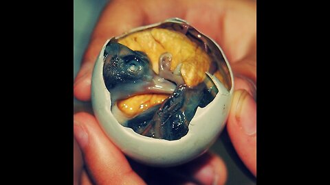 Chinese people eat the most weird food fertilized duck fried egg😱 Balut
