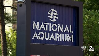 National Aquarium offering free tickets