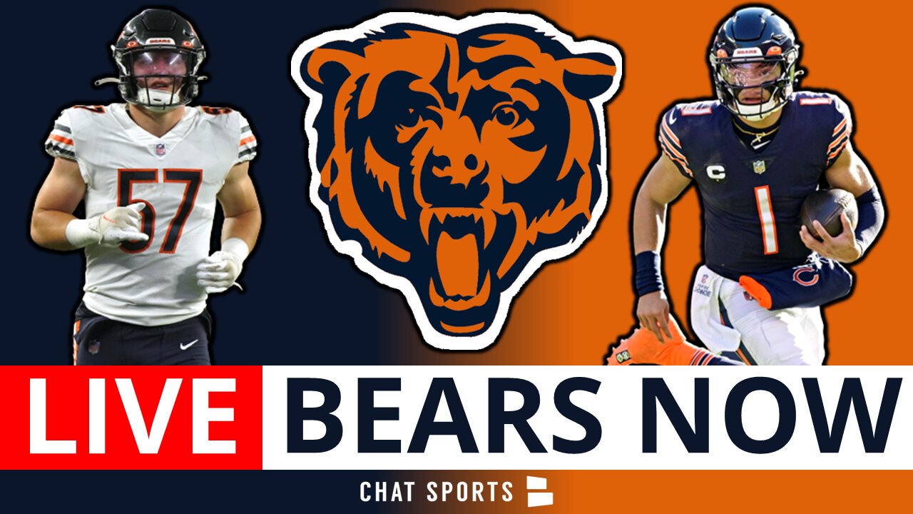 chicago bears news now