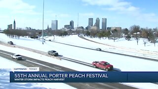 55th annual porter peach festival