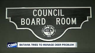 Batavia forming deer management committee