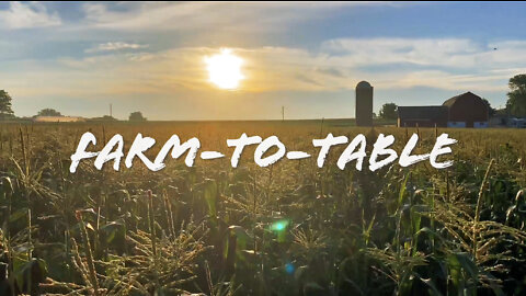 FOODIE || Farm-To-Table - Introduction