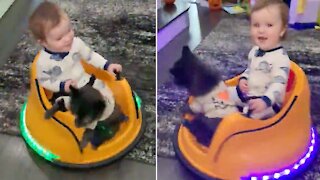 Kid and dog riding bumper car head to bed in style