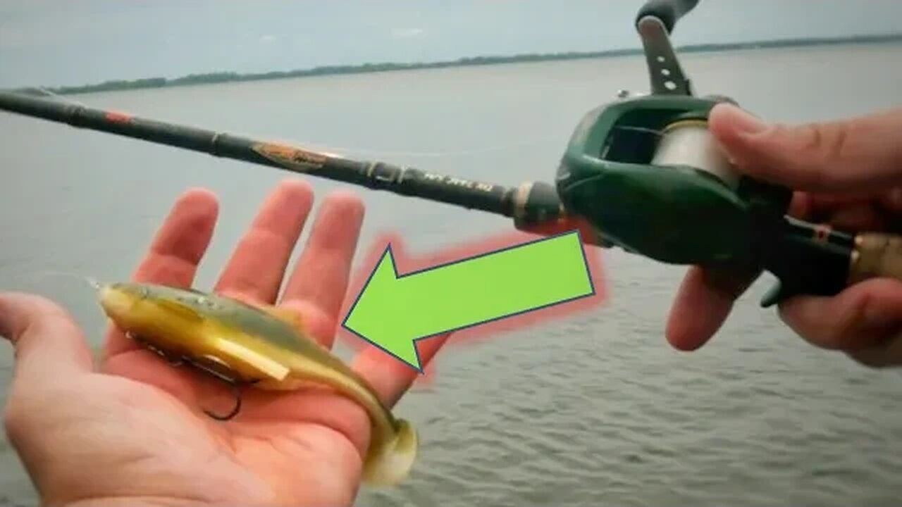 Everything Changed when I tied this SwimBait on.... (MN Bass Opener)