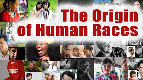 What Are The Origins of Human Races?