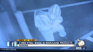 Three men steal $300K in marijuana products