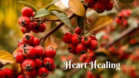 Improve Heart Health and Stretch Your Money with this EASY DIY Acetum | Save Money on Herbs!