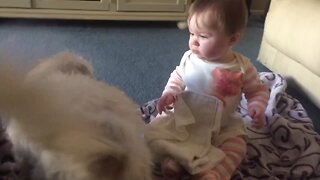 Puppy and Baby Love Each Other!