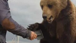 Guy has a brush with a restless bear