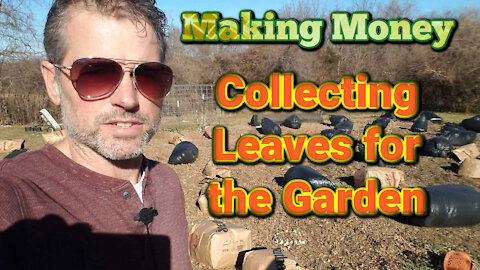 Making Money Collecting Leaves for the Garden