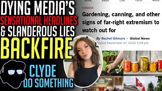 Dying Media Turns to Slander/Sensationalism - Internet Fights Back - Rachel Gilmore