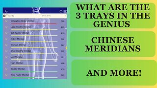 Chinese Meridians and the Genius
