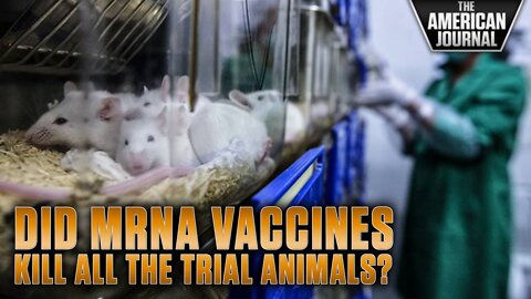 Did mRNA Vaccines Kill All Test Animals?