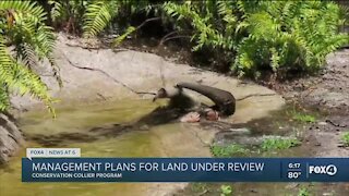 Conservation Collier reviewing land management plans