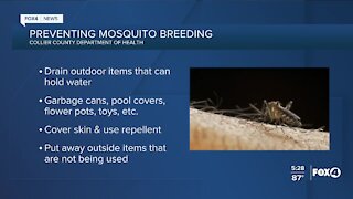 Preventing mosquito breeding