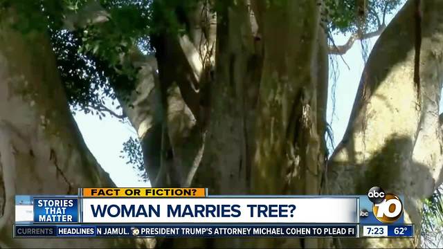 Fact Or Fiction Woman Marries Tree 