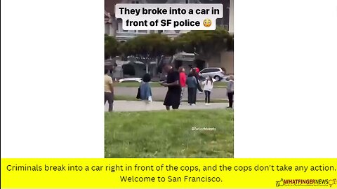Criminals break into a car right in front of the cops, and the cops don't take any action.