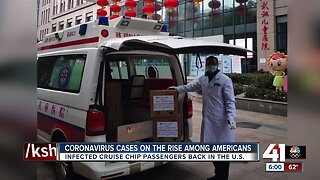 Kansas City area doctors remain alert for coronavirus, flu