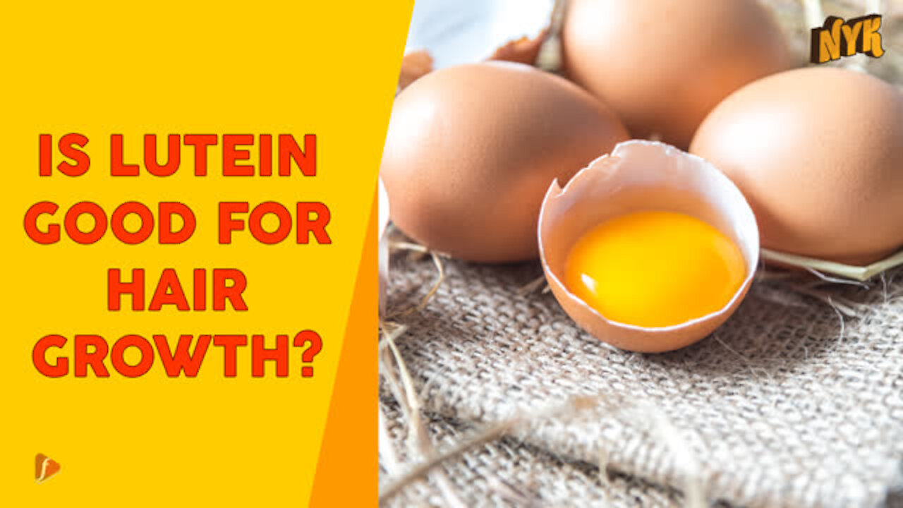 Top 3 Benefits Of Eggs For Your Hair - Now You Know