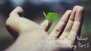 Aby Rinella - The Benefits of Homeschooling, Part 2