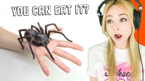 This INSANE Wolf Spider CAKE Will Give You Halloween Feels!