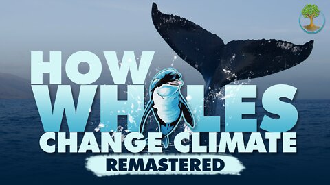How Whales Change Climate