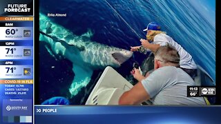 Fisherman has encounter with great white shark