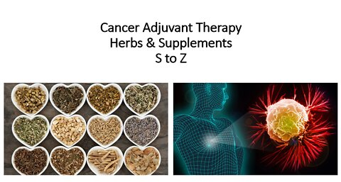Cancer Adjuvant Therapy - S to Z