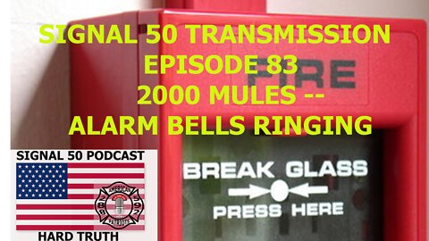 Episode 83 - 2000 Mules - Alarm Bells Sounding