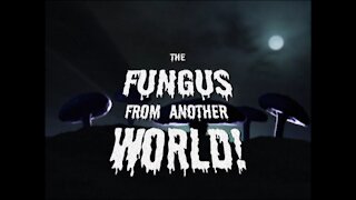 The Fungus From Another World