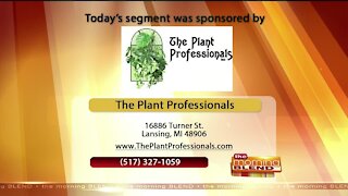 The Plant Professionals - 9/4/20