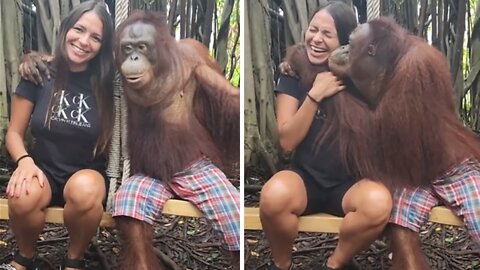 Monkey totally falls in love with woman after taking pictures together