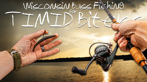 Wisconsin Bass Fishing for Timid Biters