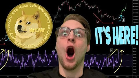 Dogecoin JUST FLASHED THE RAREST SIGNAL ⚠️