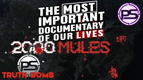 2000 MULES - THE MOST IMPORTANT DOCUMENTARY OF OUR LIFETIME [TRUTH BOMB #070]