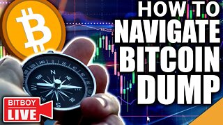 Navigating MASSIVE BITCOIN Dump (TOP REASONS To Stay In Crypto)