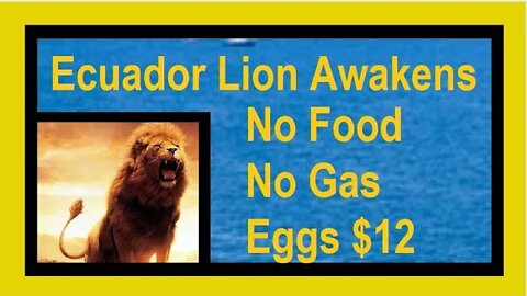 ECUADOR COLLAPSE: Hyperinflation and Real Food Shortages by Our Retire Early Lifestyle