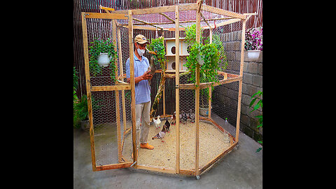 Make cheap bird cage for my wife | Complete guide | Bird cage designs