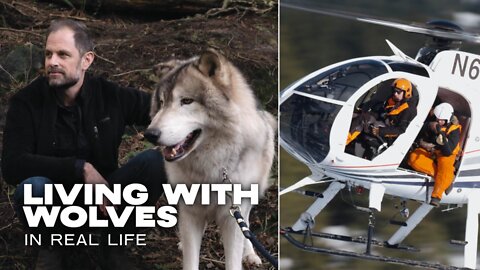 In Real Life: Living With Wolves